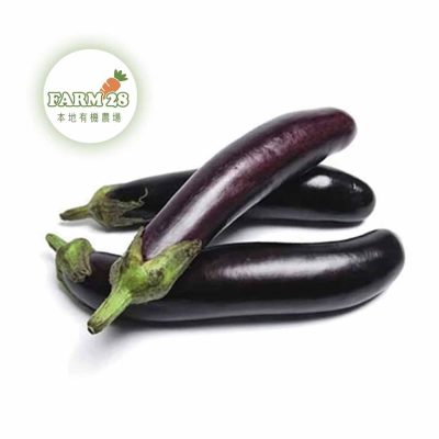 【本地有機菜】Farm 28 <br>有機紫茄子 <br>約半斤 (星期六送貨)